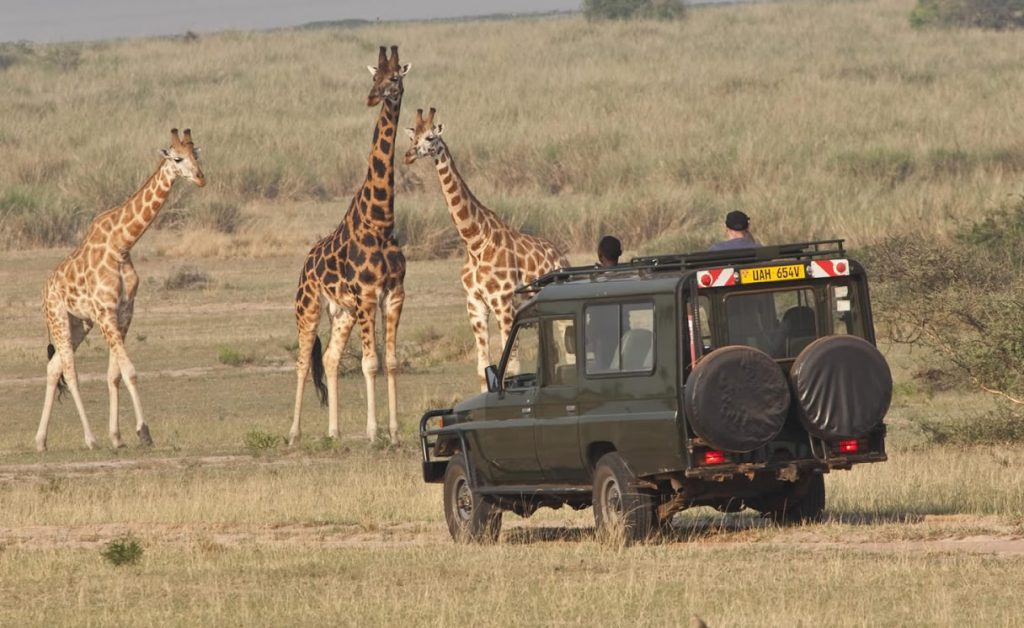 Kidepo National Park Voyage