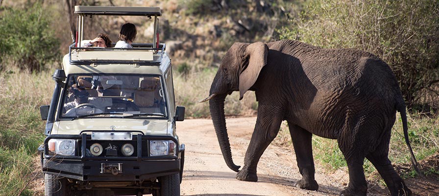 Kidepo National Park Voyage